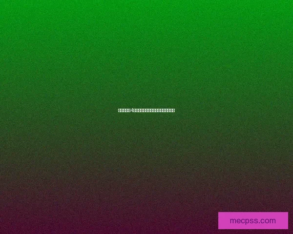 大航海时代4宝物获取与隐藏地点全面攻略秘籍详解